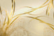 Struktur Gold Wall Decal