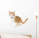 Ginger Cat Sitting Red Wall Decal