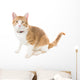 Ginger Cat Sitting Red Wall Decal