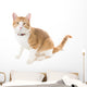 Ginger Cat Sitting Red Wall Decal