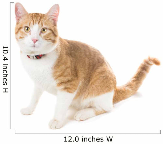 Ginger Cat Sitting Red Wall Decal