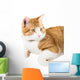 Portrait Lying Ginger Cat Wall Decal
