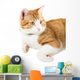 Portrait Lying Ginger Cat Wall Decal