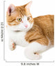 Portrait Lying Ginger Cat Wall Decal