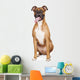 Boxer Dog Sitting Tongue Wall Decal