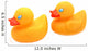 Ducks Wall Decal