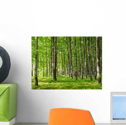 June Forest Wall Decal