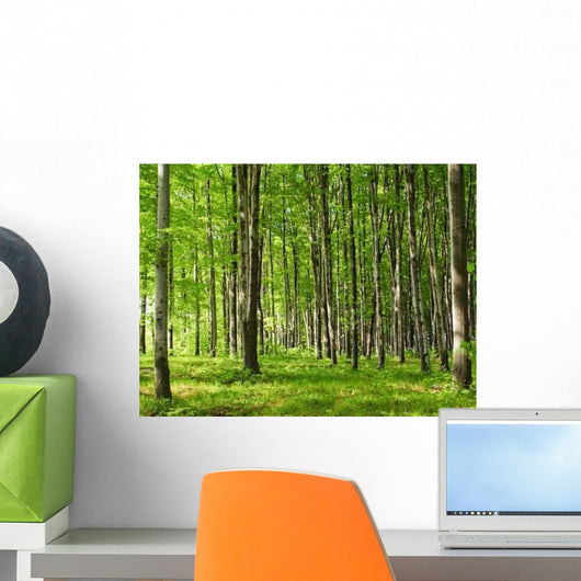 June Forest Wall Decal