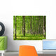 June Forest Wall Decal