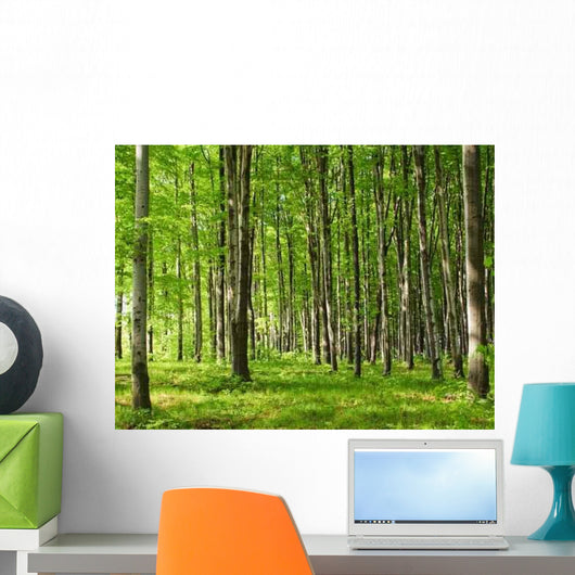 June Forest Wall Decal