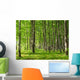June Forest Wall Decal