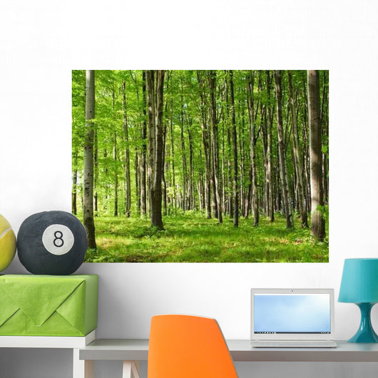 June Forest Wall Decal