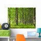 June Forest Wall Decal