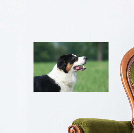 Profil La Tete Du Wall Decal