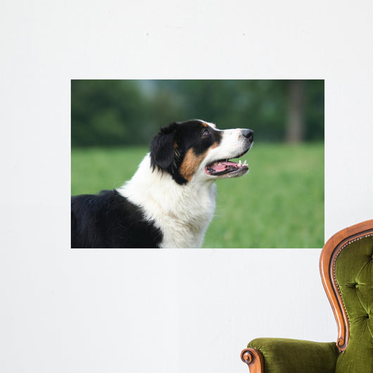 Profil La Tete Du Wall Decal