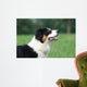 Profil La Tete Du Wall Decal