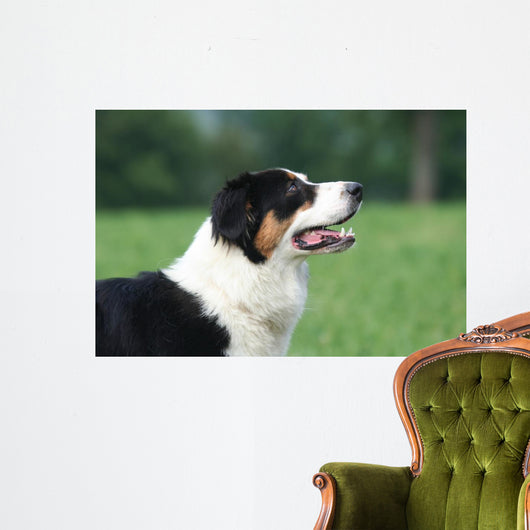 Profil La Tete Du Wall Decal