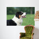 Profil La Tete Du Wall Decal