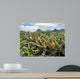 Pineapple field in Mauritius Wall Mural