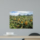 Pineapple field in Mauritius Wall Mural