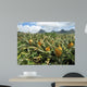 Pineapple field in Mauritius Wall Mural