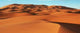 Sahara Desert Wall Decal
