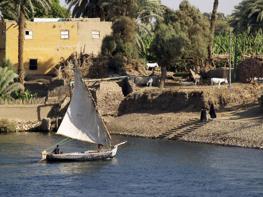Felucca Wall Decal