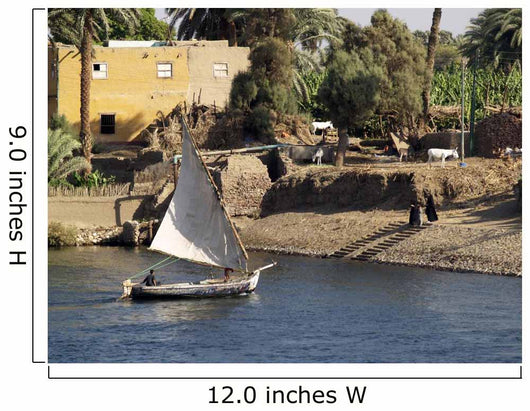 Felucca Wall Decal