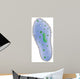 Illustration Paramecium Single Celled Wall Decal