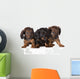 Three Dachshund Puppies Wall Decal
