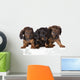 Three Dachshund Puppies Wall Decal