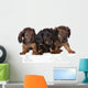 Three Dachshund Puppies Wall Decal