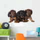 Three Dachshund Puppies Wall Decal