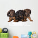 Three Dachshund Puppies Wall Decal