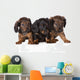 Three Dachshund Puppies Wall Decal