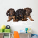 Three Dachshund Puppies Wall Decal