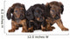 Three Dachshund Puppies Wall Decal