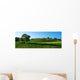 Beautiful Vineyard Panorama with Wall Decal