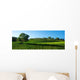 Beautiful Vineyard Panorama with Wall Decal