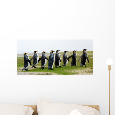 8 Marching King Penguins Wall Decal Panoramic Wall Decal shown on a wall