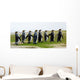 8 Marching King Penguins Wall Decal Panoramic Wall Decal