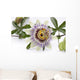 Passion Flower Blossom White Wall Decal