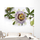 Passion Flower Blossom White Wall Decal