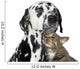 Friends Tabby-cat and Dalmatian Wall Decal