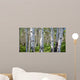Birch Forest Panorama Wall Decal