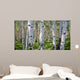 Birch Forest Panorama Wall Decal