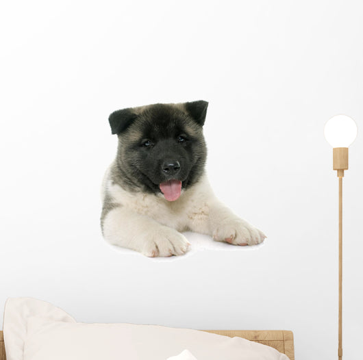 Puppy American Akita Wall Decal