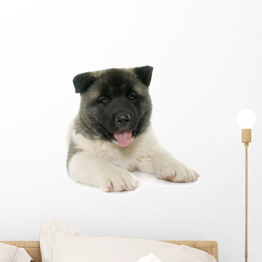 Puppy American Akita Wall Decal