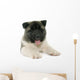 Puppy American Akita Wall Decal