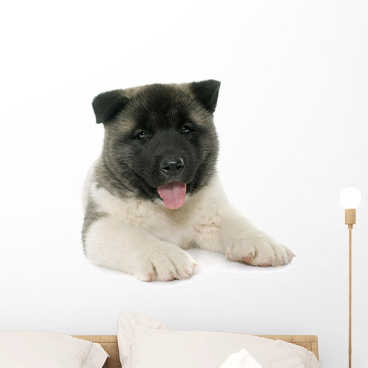 Puppy American Akita Wall Decal